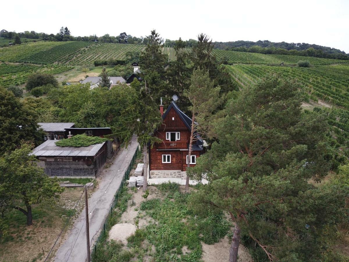 VACATIONHOME IN THE VINEYARDS ≡ Вена, Австрия ≡ Lowest Booking Rates For  Vacationhome In The Vineyards in Вена